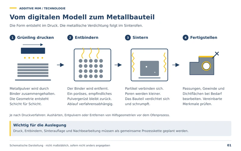 Vom digitalen Modell zum Metallbauteil: Grünling drucken, Entbindern, Sintern, Fertigstellen. Die Form entsteht im Druck, die metallische Verdichtung folgt im Sinterofen.