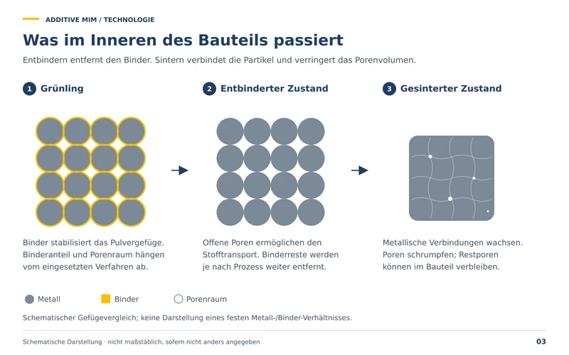 Was im Inneren des Bauteils passiert: Grünling, entbinderter Zustand und gesinterter Zustand auf Partikelebene. Entbindern entfernt den Binder, Sintern verbindet die Partikel und verringert das Porenvolumen.
